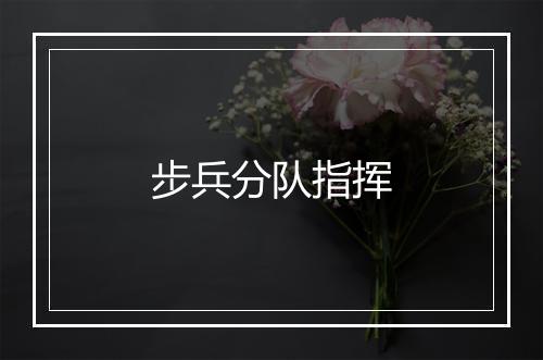 步兵分队指挥