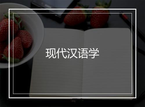 现代汉语学