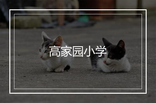 高家园小学