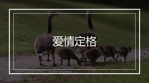 爱情定格