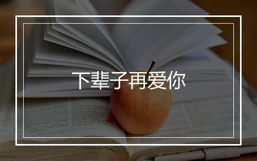 下辈子再爱你