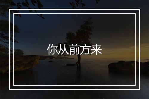 你从前方来