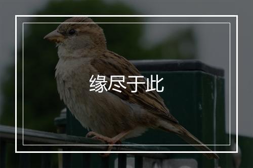 缘尽于此