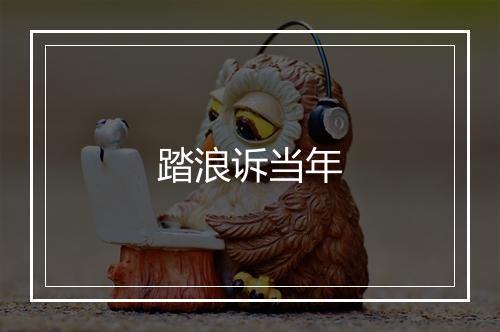 踏浪诉当年