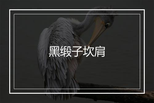 黑缎子坎肩