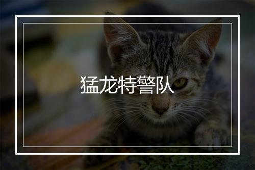 猛龙特警队