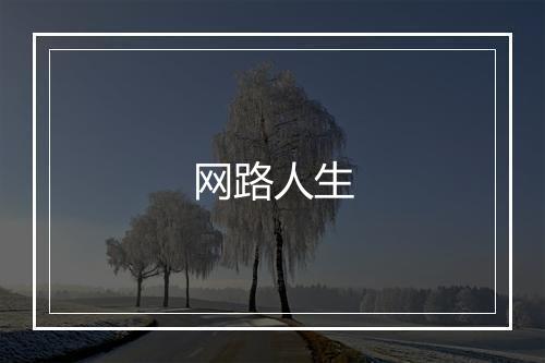 网路人生