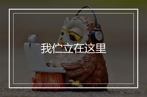 我伫立在这里