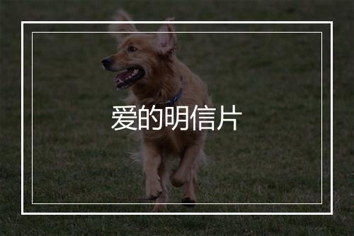 爱的明信片