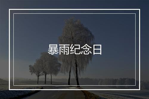 暴雨纪念日