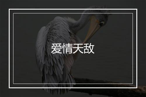 爱情天敌