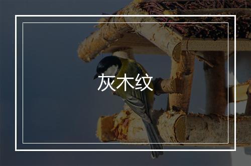 灰木纹