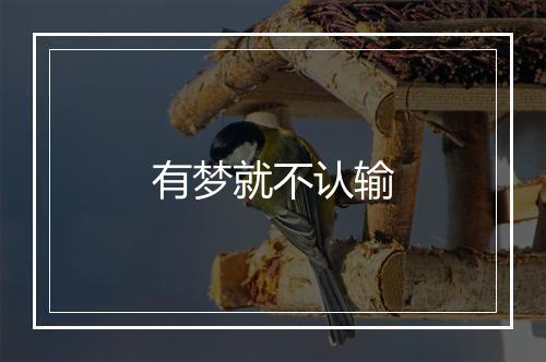 有梦就不认输