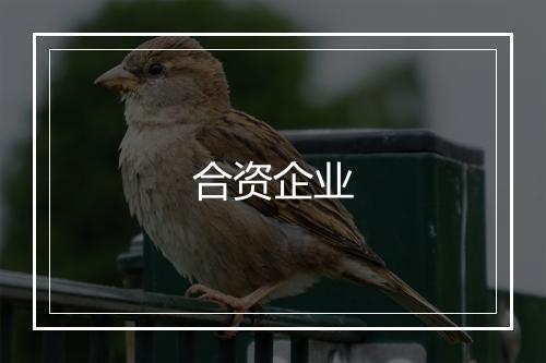 合资企业