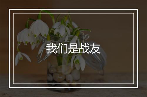 我们是战友