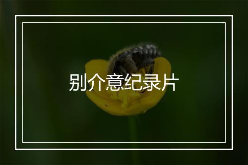 别介意纪录片