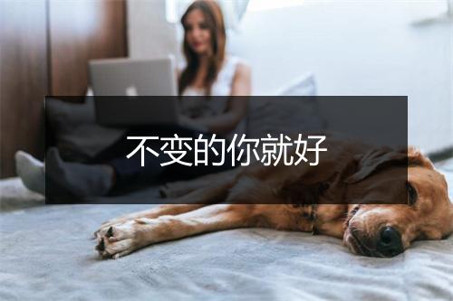 不变的你就好