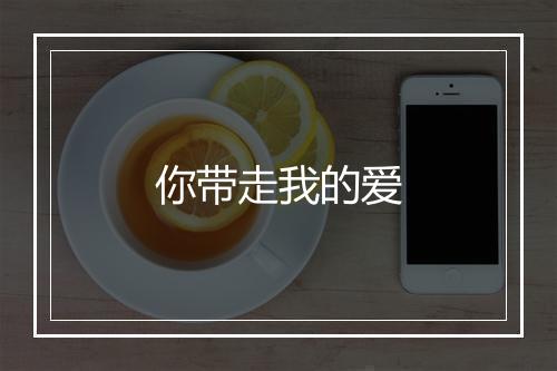 你带走我的爱