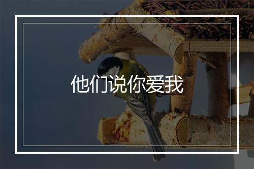 他们说你爱我