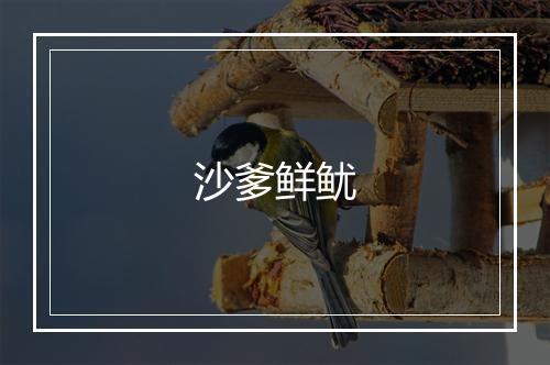 沙爹鲜鱿