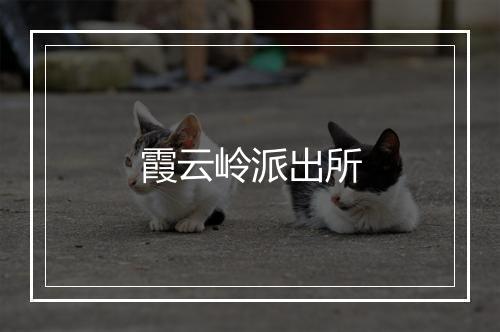 霞云岭派出所