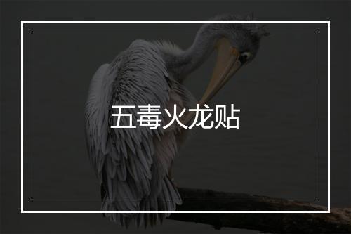 五毒火龙贴