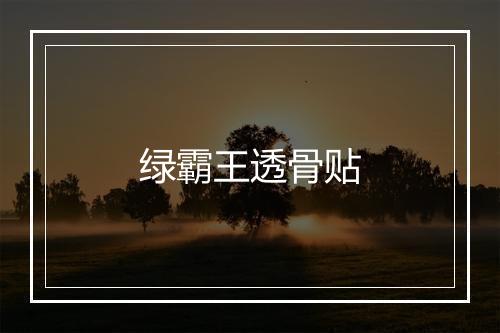 绿霸王透骨贴