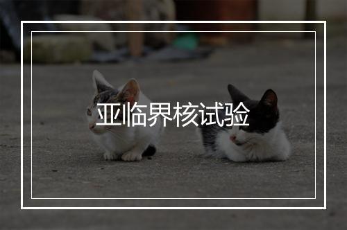 亚临界核试验