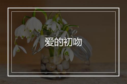 爱的初吻