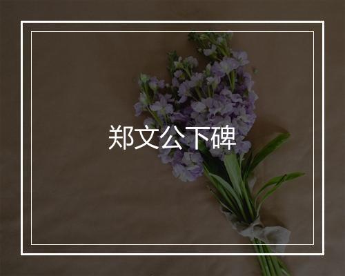 郑文公下碑