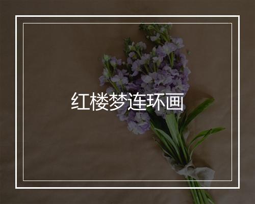 红楼梦连环画