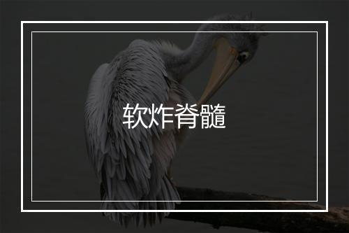 软炸脊髓