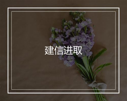 建信进取