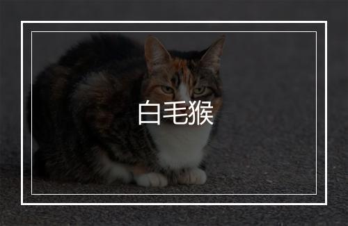 白毛猴