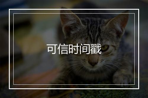 可信时间戳