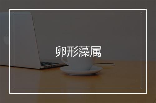 卵形藻属