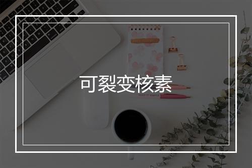 可裂变核素