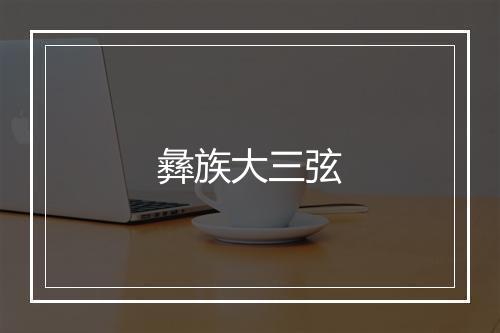 彝族大三弦