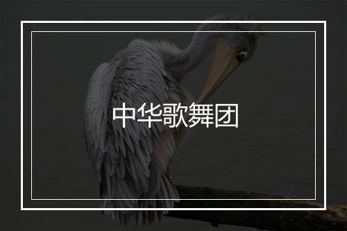 中华歌舞团