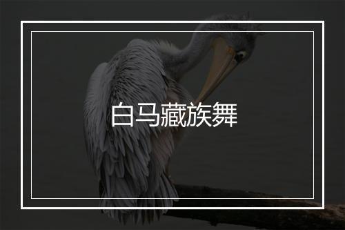 白马藏族舞