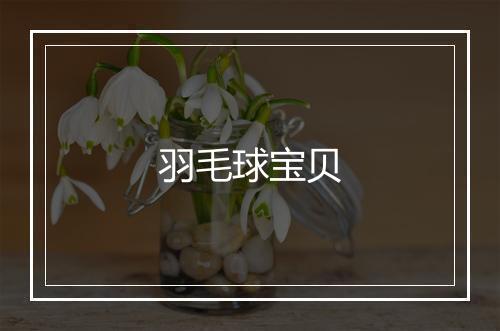 羽毛球宝贝