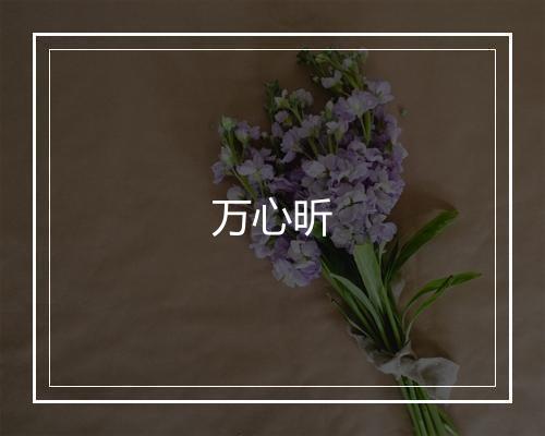 万心昕