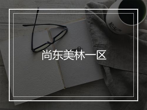 尚东美林一区