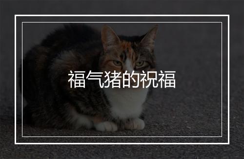 福气猪的祝福