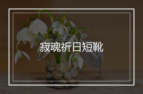 寂魂祈日短靴