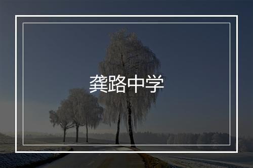 龚路中学