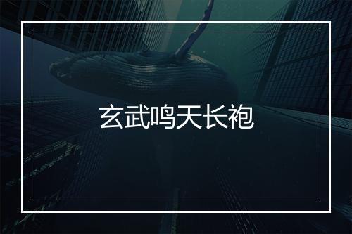 玄武鸣天长袍