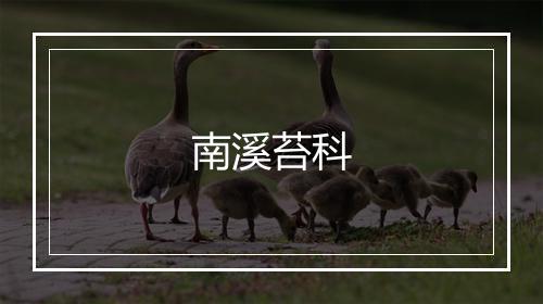 南溪苔科