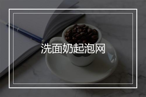 洗面奶起泡网