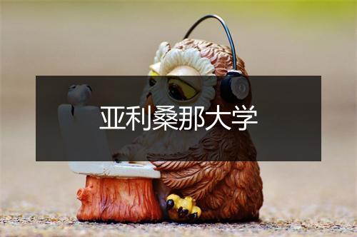 亚利桑那大学